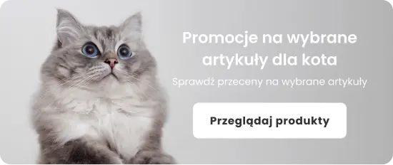 Promocje na wybrane artykuły dla kota
