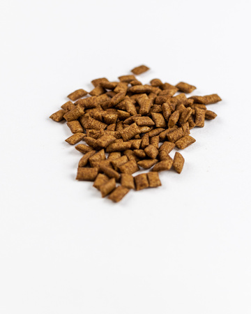 SAVORY chrupiący przysmak dentystyczny dla kotów, 60 g