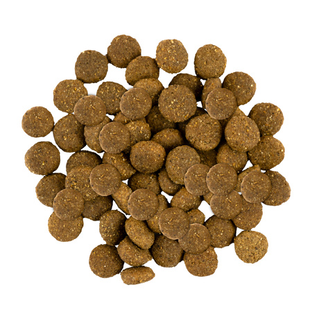 SAVORY Junior dla młodych psów dużych ras - indyk i kurczak 12 kg