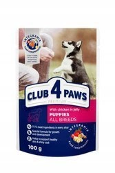 CLUB 4 PAWS Premium mokra karma dla szczeniąt z kurczakiem w galarecie 100 g